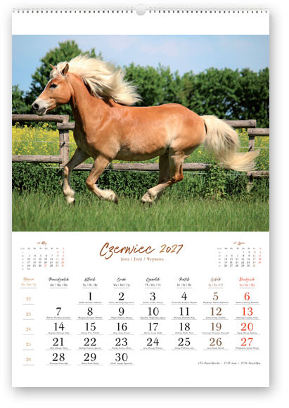 Kalendarz reklamowy RW14 Konie w obiektywie Lucrum